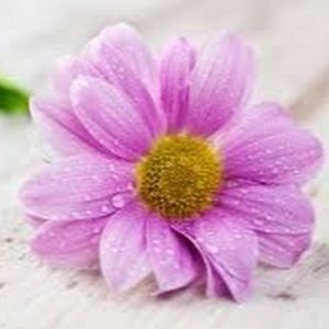 Meet your Posher, Sandeep